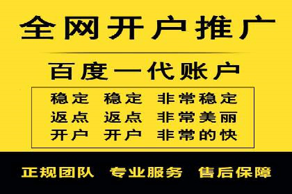 SEM竞价托管实战案例解析