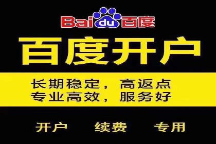 怎样做百度推广：成功案例分析与策略